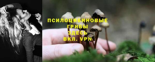 ПСИЛОЦИБИНОВЫЕ ГРИБЫ Белокуриха