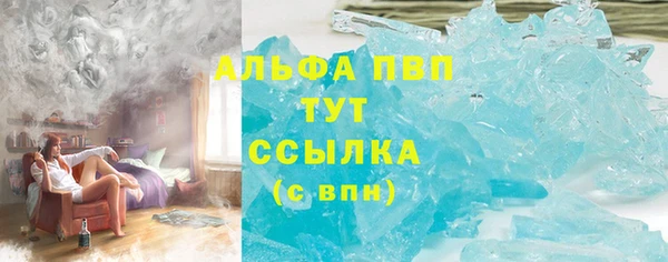 ПСИЛОЦИБИНОВЫЕ ГРИБЫ Белокуриха
