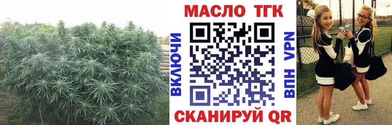 ТГК вейп  Острогожск 