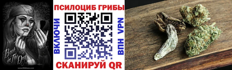 Псилоцибиновые грибы GOLDEN TEACHER  купить наркотик  Острогожск 