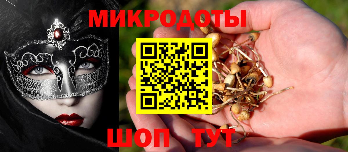 Псилоцибиновые грибы мицелий Острогожск