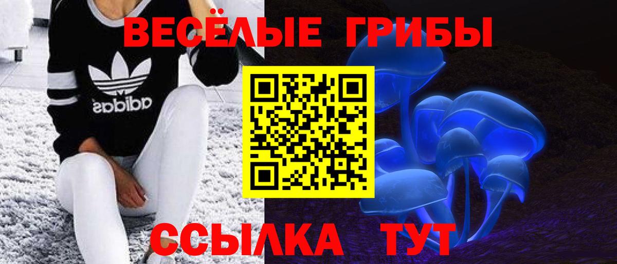 Острогожск  дарнет шоп  Вход с VPN  Псилоцибиновые грибы прущие грибы 